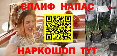 мдпв Севастополь