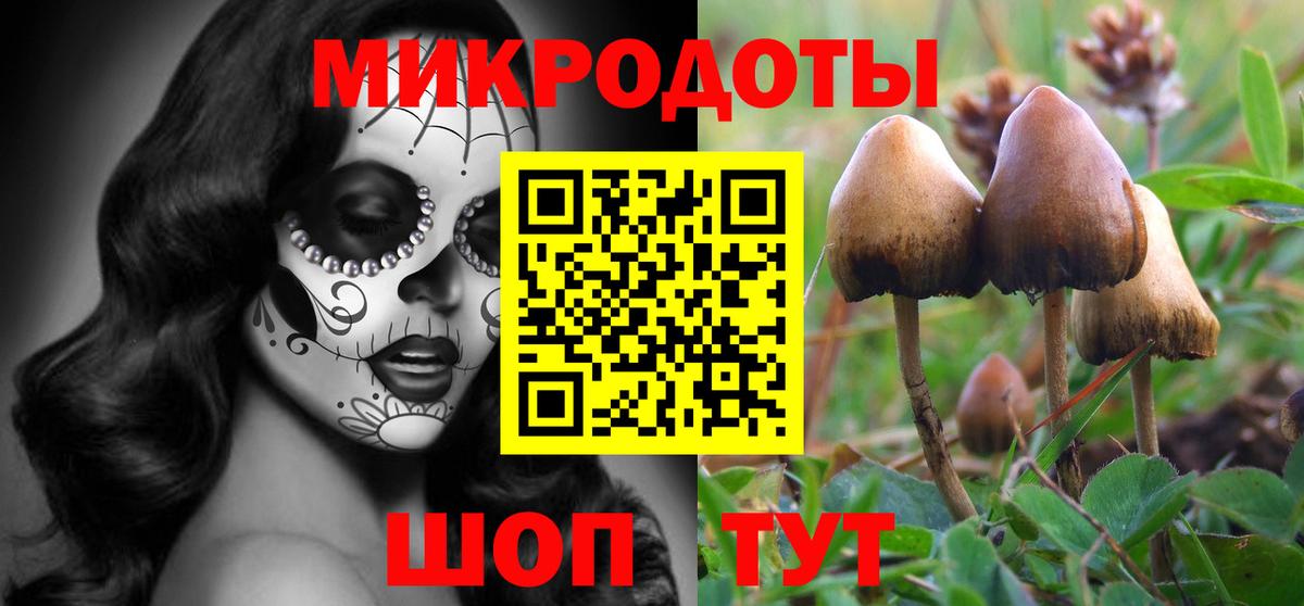 Галлюциногенные грибы Cubensis Амурск